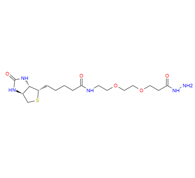 生物素-PEG2-酰肼 