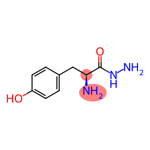 L-酪氨酸酰肼 