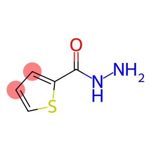 2-噻吩羧酸肼 