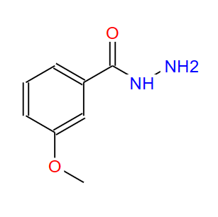 3-甲氧基苯酰肼 
