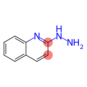 2-肼基喹啉 