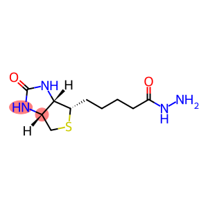 生物素酰肼 