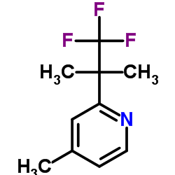 4-甲基-2-(1,1,1-三氟-2-二甲基-2-乙基)吡啶1378865-93-0