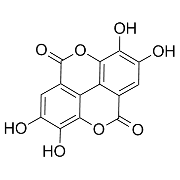 五倍子鞣花酸 90% 476-66-4